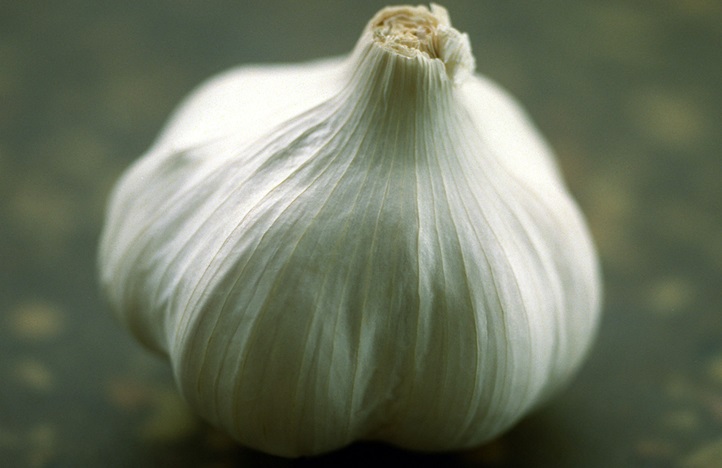 11524_AUK-11700FPRCLOVEgarlic.jpg