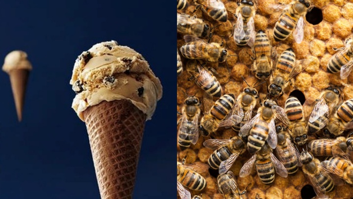 haagendazfreeconebee