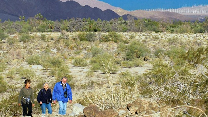 hikingtrailslivingdesert