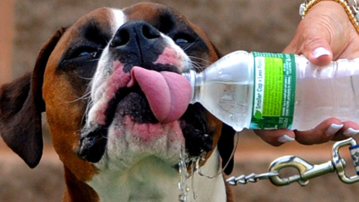 Extreme Heat Triggers Flex Alert in California. Here's What to Do – NBC Los Angeles - Vimarsana News