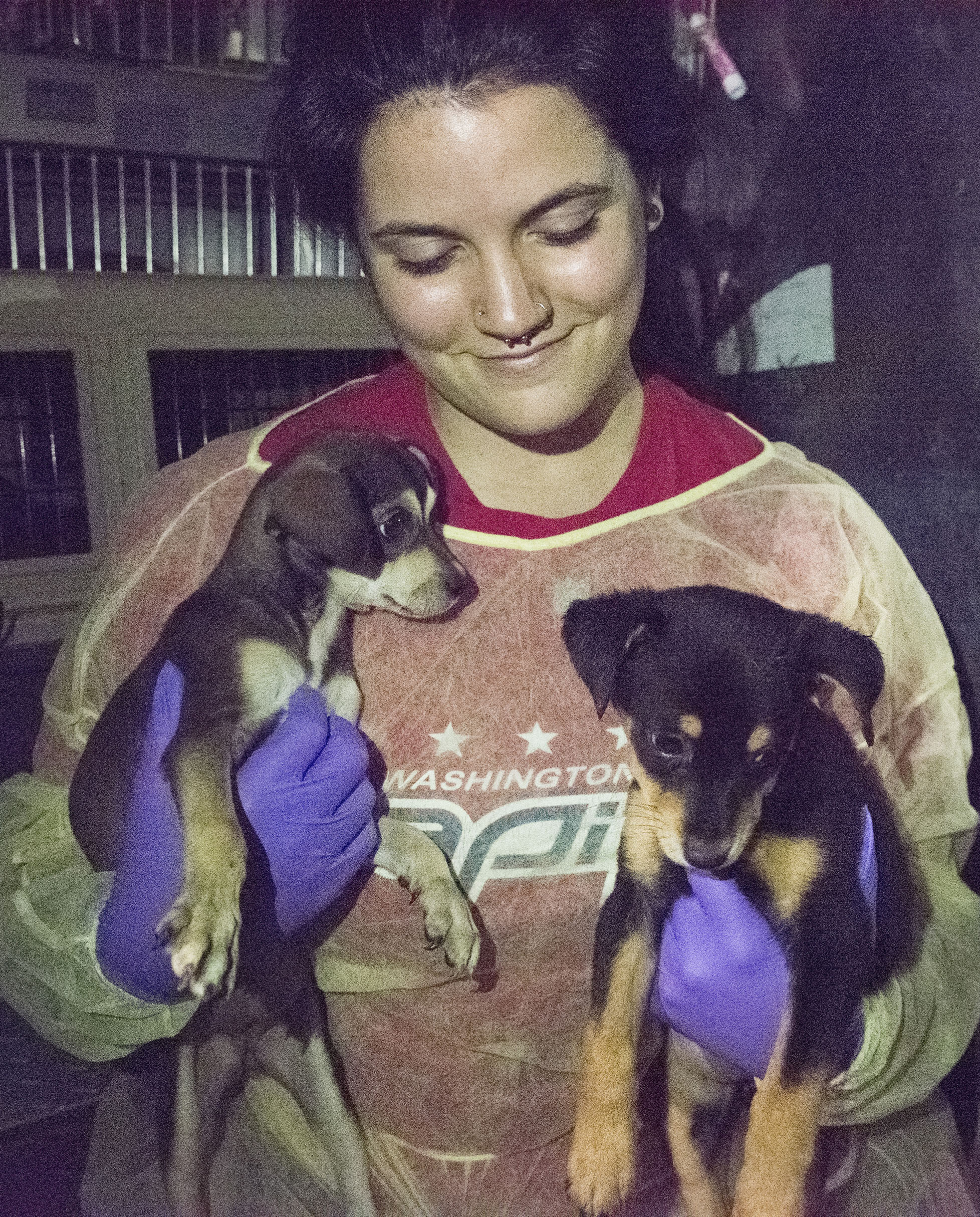 120 Dogs, Cats in Path of Tropical Storm Barry Arrive in ...