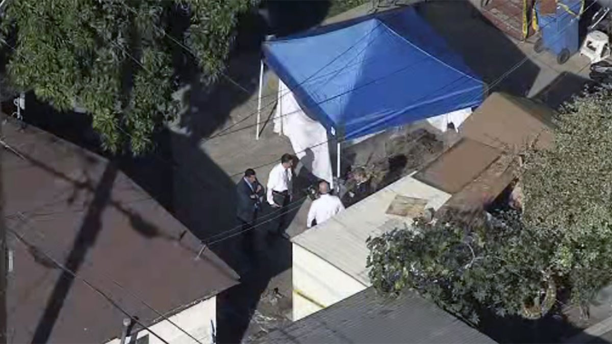 Bones Found Partially Buried Behind South LA Home Are Identified as