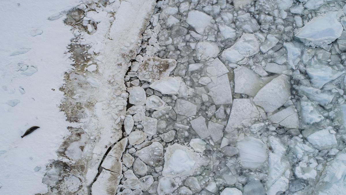 Floating Antarctic Ice Goes From Record High to Record Lows NBC Los