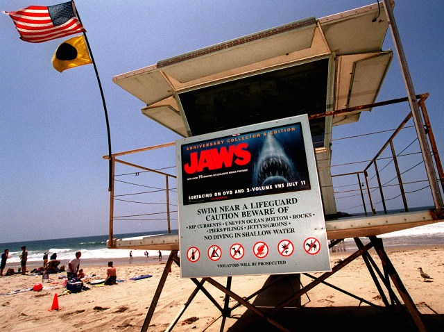 jaws poster-640