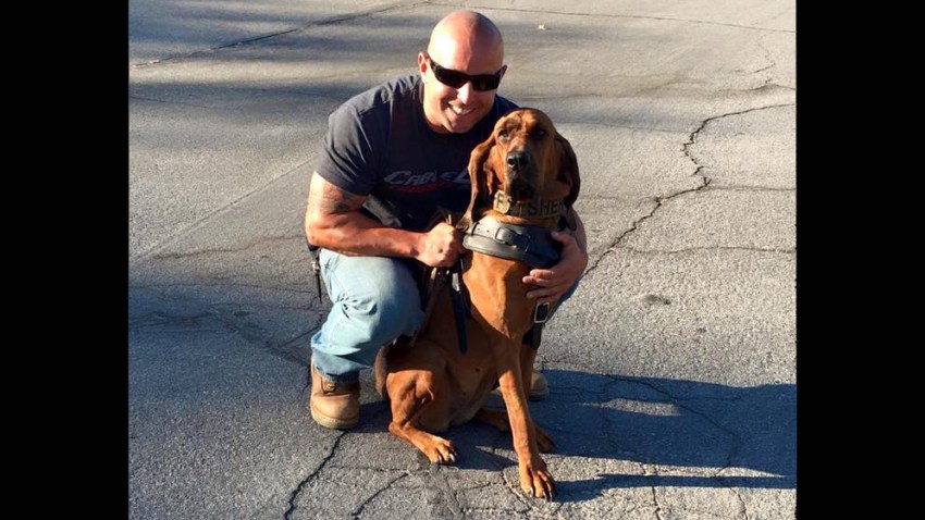 k-9 and handler