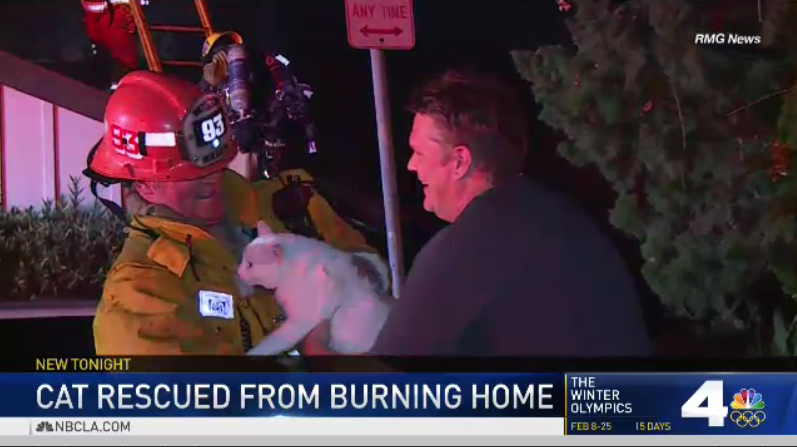 Cat Rescued In House Fire – NBC Los Angeles