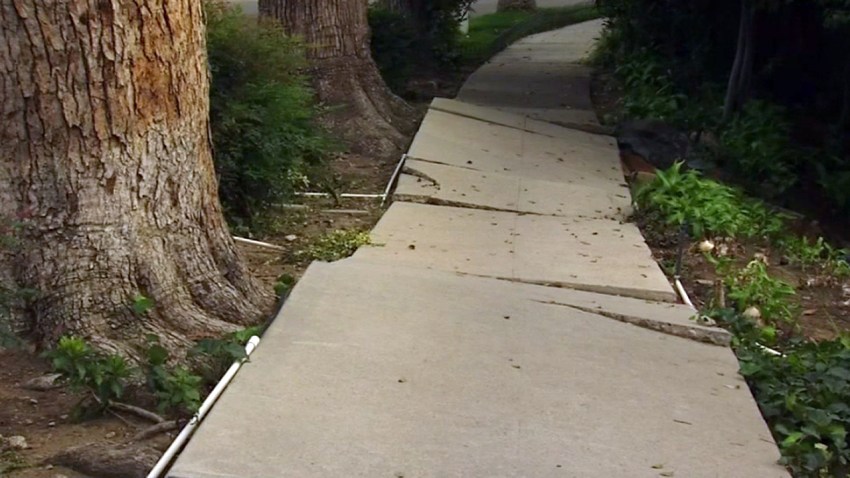 lafile-broken-cracked-sidewalk