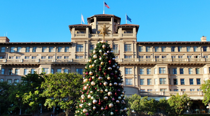 langham2019IMG_2097