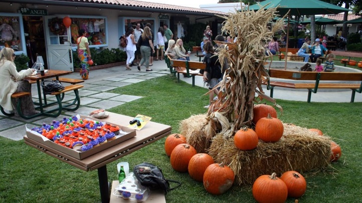 malibucountrymarthalloweenfun9281