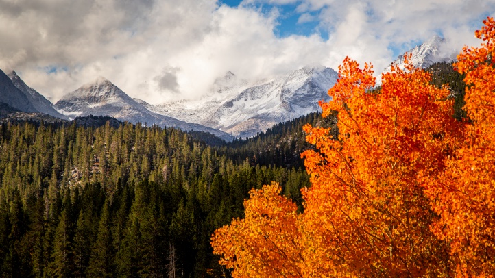 mammoth2018-10-03-Fall-Color-Rock-Creek-WRAY-55