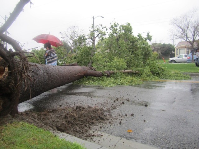 march_viewer_storm_la24