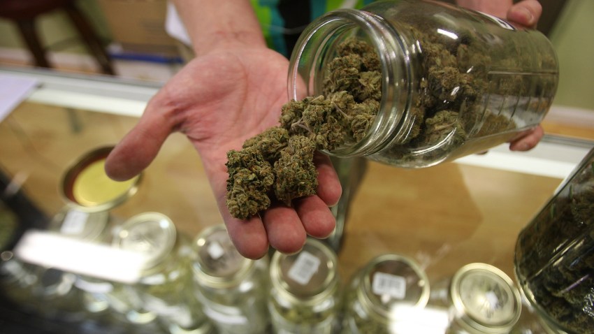 Essay about marijuana