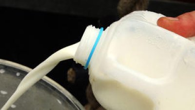 FDA: Remnants of bird flu found in milk