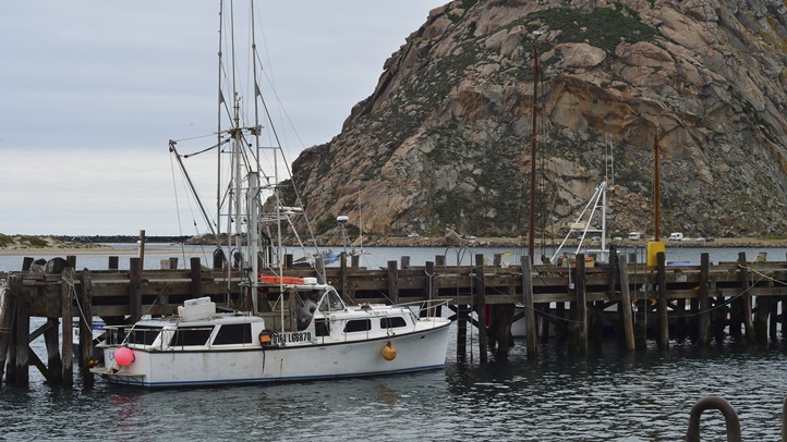 morrobaypier1
