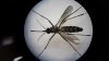 Mosquito treatments planned in Altadena, Monterey Park