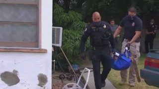 A mountain lion is removed from under a house.