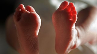 newborn