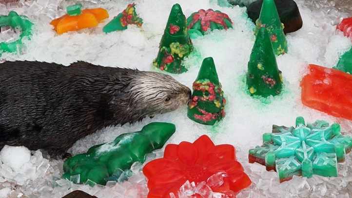 ottertreatsxmas1