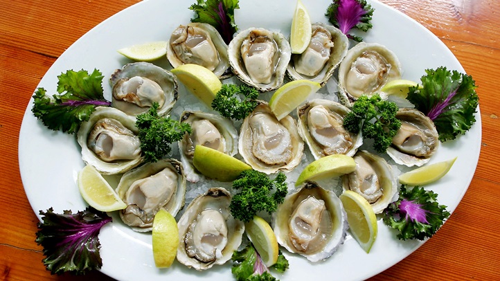 73687618RL028_Dredge_Oyster
