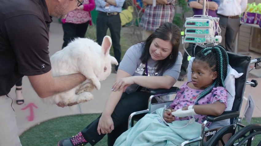 TV Channel Featuring San Diego Zoo Animals Makes Way to ...