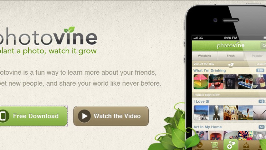 photovine17
