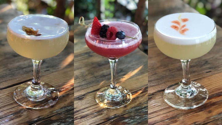 piscosours02929921