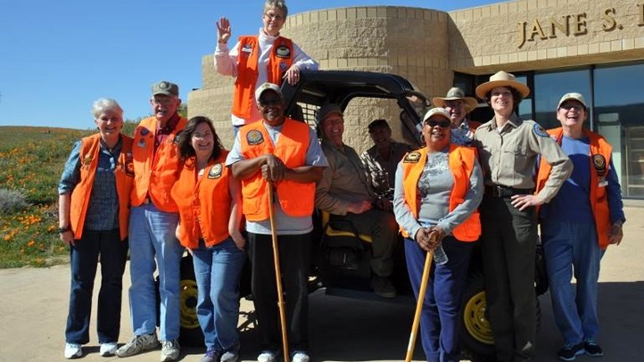 poppyvolunteers932822