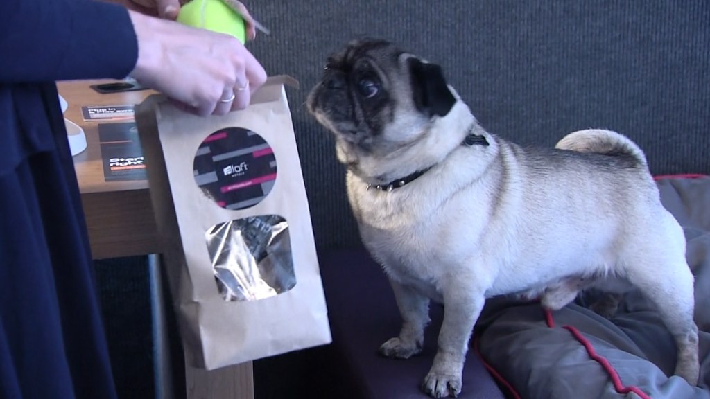 Https Www Nbclosangeles Com News Local Clearing The Air Smoking