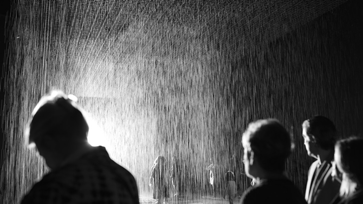 rainroom12345678