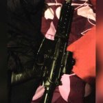 reid-firearm