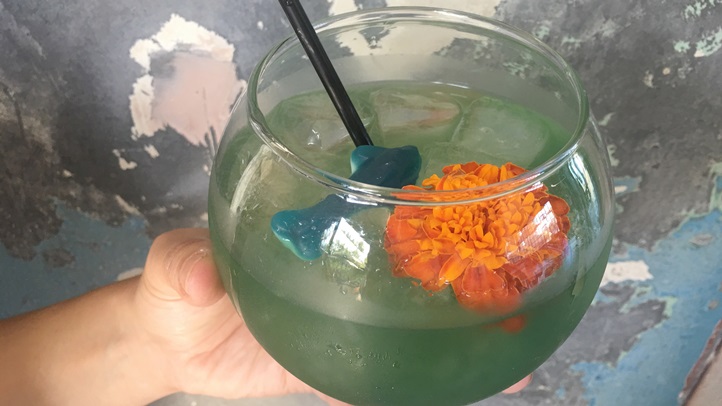 salazarfishbowl