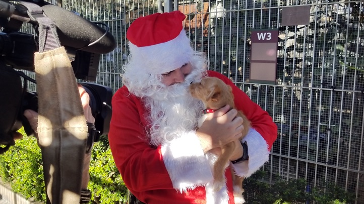 santapas092832932323