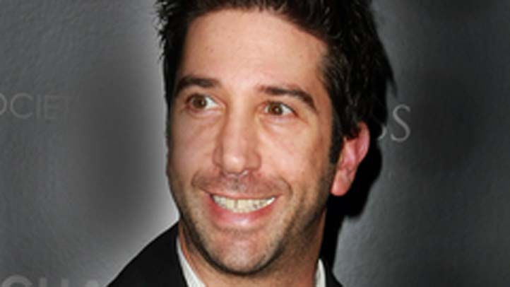 schwimmer