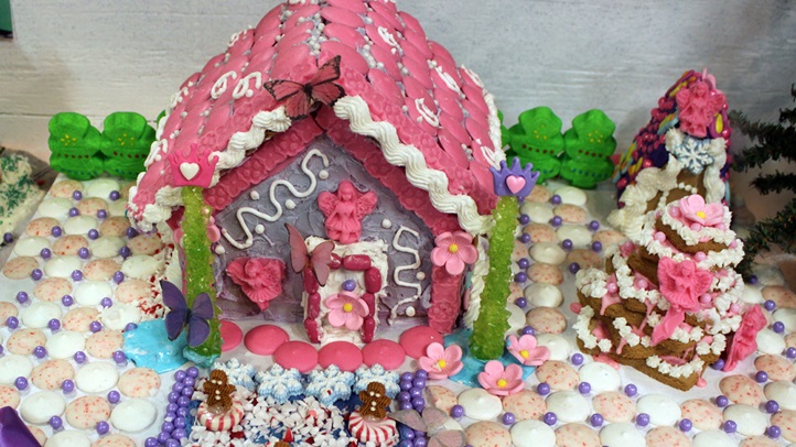 sciencegingerbreadsantaana
