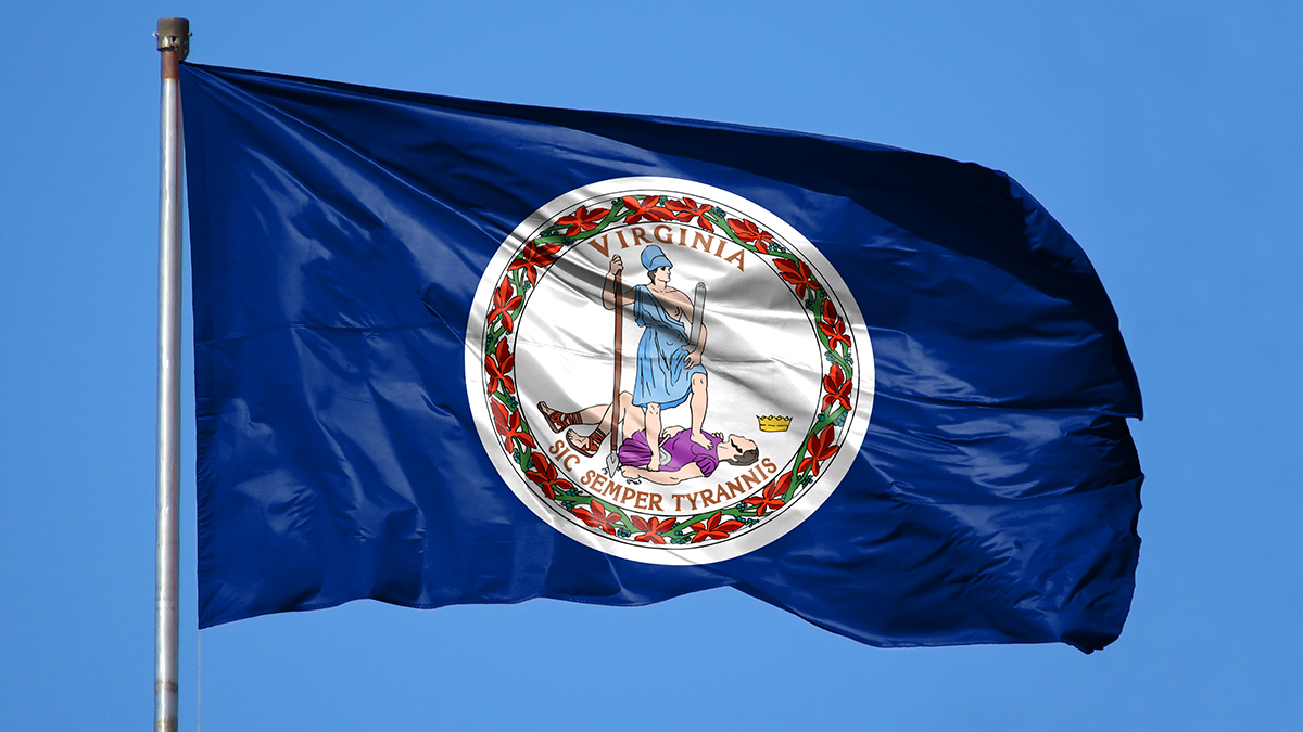 Virginia Voter Site Restored After Hourslong Outage 1
