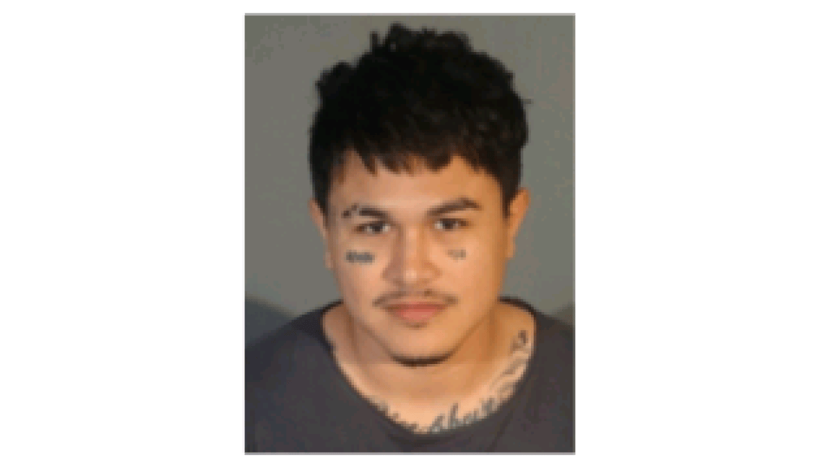 Santa Monica Police Arrest Sexual Assault Suspect, Seek Other Possible ...