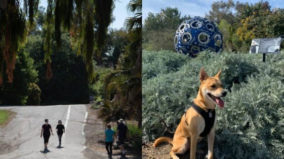 South Coast Botanic Garden Launches Longer Hours, Dog Walks – NBC Los