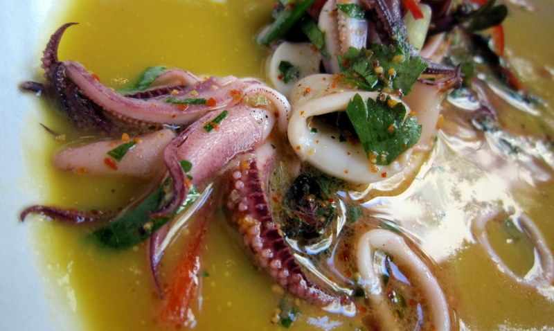 squid soup