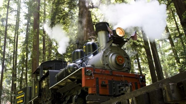 Roaring Camp Railroads Is Reopening NBC Los Angeles