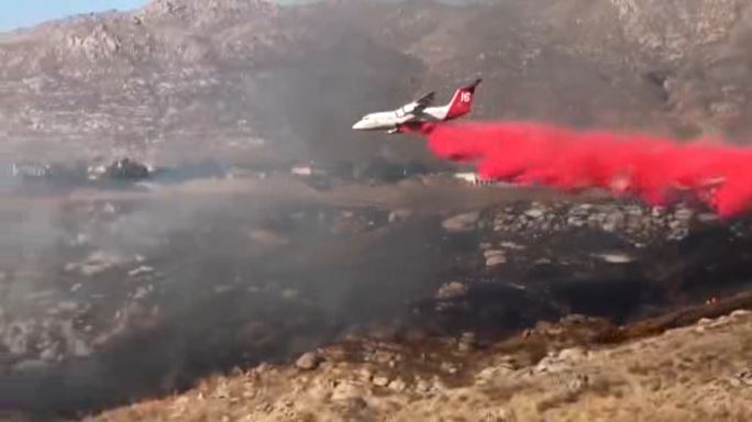 sycamorefire