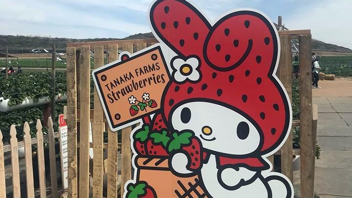 tanakastrawberry2908323