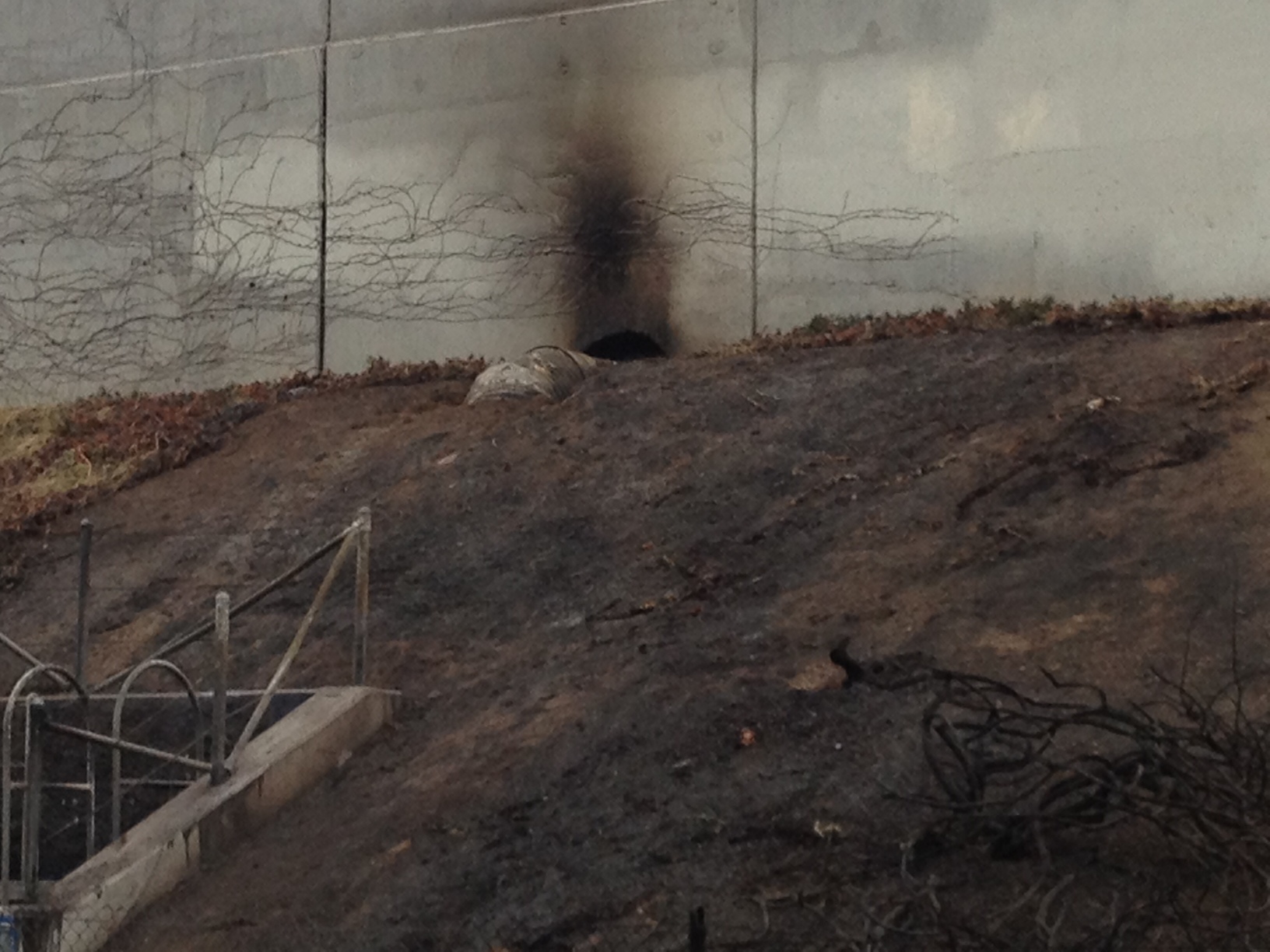 Fiery Tanker Truck Crash on the Long Beach Freeway - NBC ...