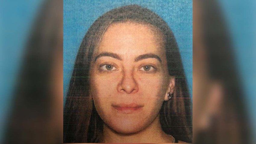 tesla-hit-run-crash-driver-Vanessa-Gutierrez-december-5-2019