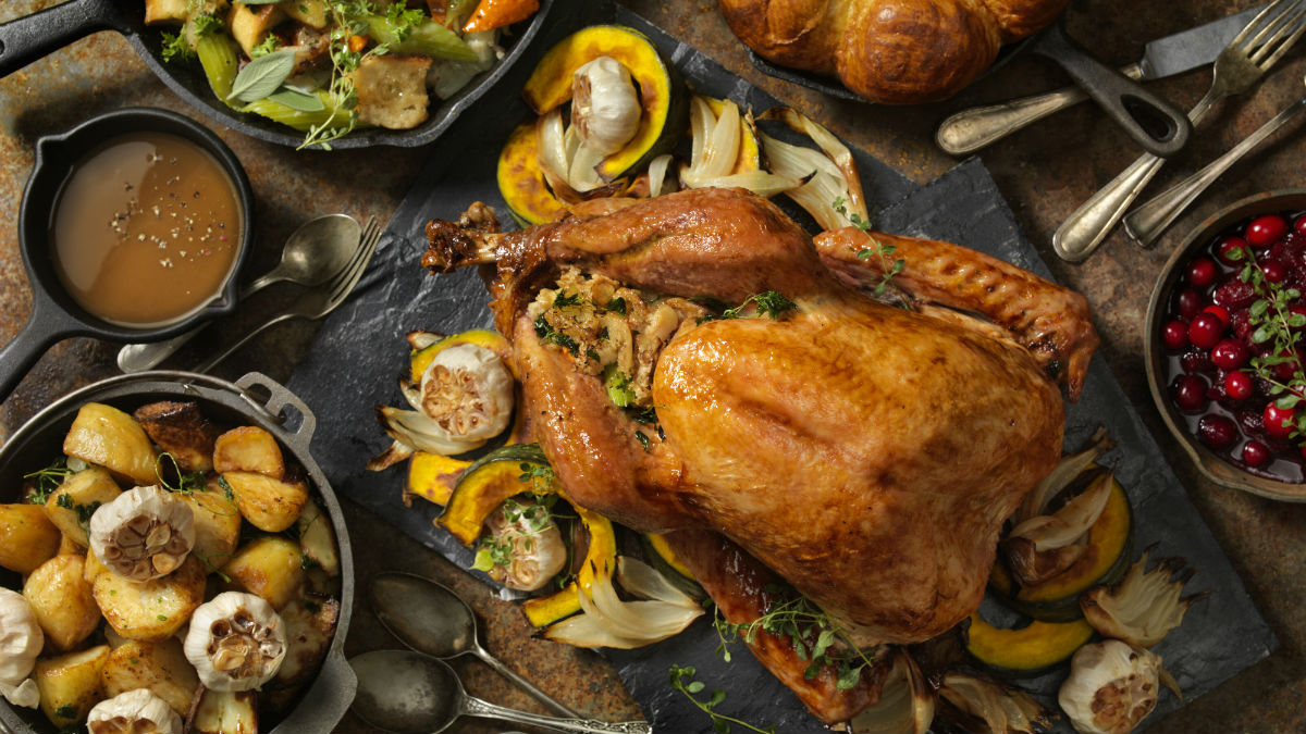 Don't Feed Your Pets Turkey This Thanksgiving, Here's Why ...