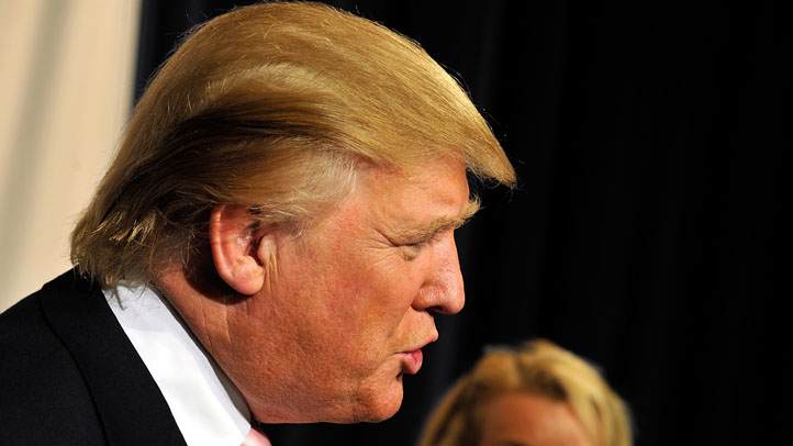 trump apprentice