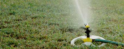watering-lawn