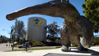 36. UC Irvine