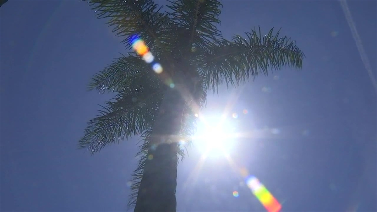 A Big Heat Wave is Coming to SoCal. Here’s How to Stay Safe NBC Los