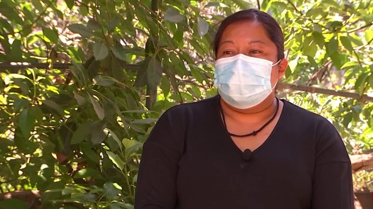 4 Women Attack Lynwood Street Vendor NBC Los Angeles