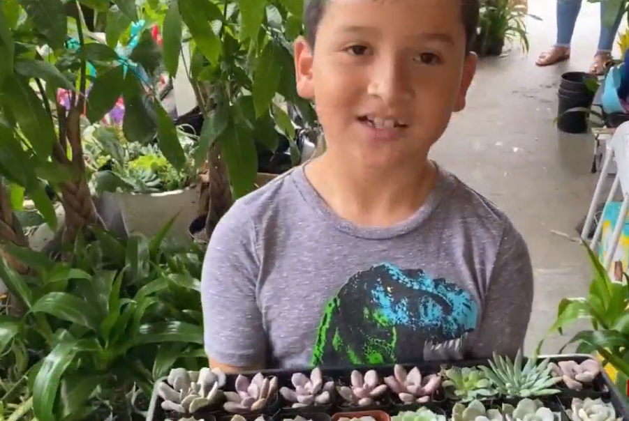 8-Year-Old Starts Plant Business To Help His Mom, Sister in Mexico – NBC  Los Angeles